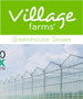 Village Farms International Inc.